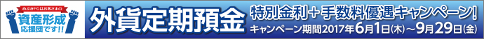 外貨定期預金 特別金利+手数料優遇キャンペーン