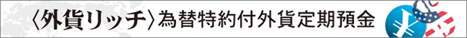 〈外貨リッチ〉為替特約付外貨定期預金