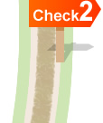 Check2
