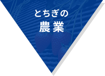 とちぎの農業