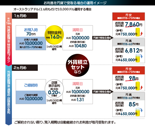 お利息を円貨で受取る場合の運用イメージ