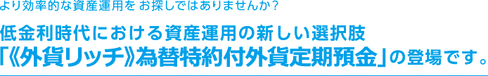 より効率的な資産運用をお探しではありませんか？低金利時代における資産運用の新しい選択肢「為替特約付外貨定期預金《外貨リッチ》」の登場です。