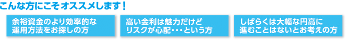 こんな方にこそおススメします！【余裕資金のより効率的な運用方法をお探しの方】【高い金利は魅力だけどリスクが心配…という方】【しばらくは大幅な円高に進むことはないとお考えの方】